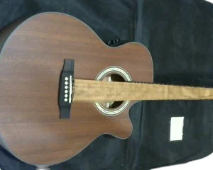 Gitar Scorpion SA50CEQ