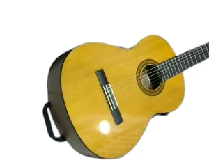 Gitar Yamaha C 315
